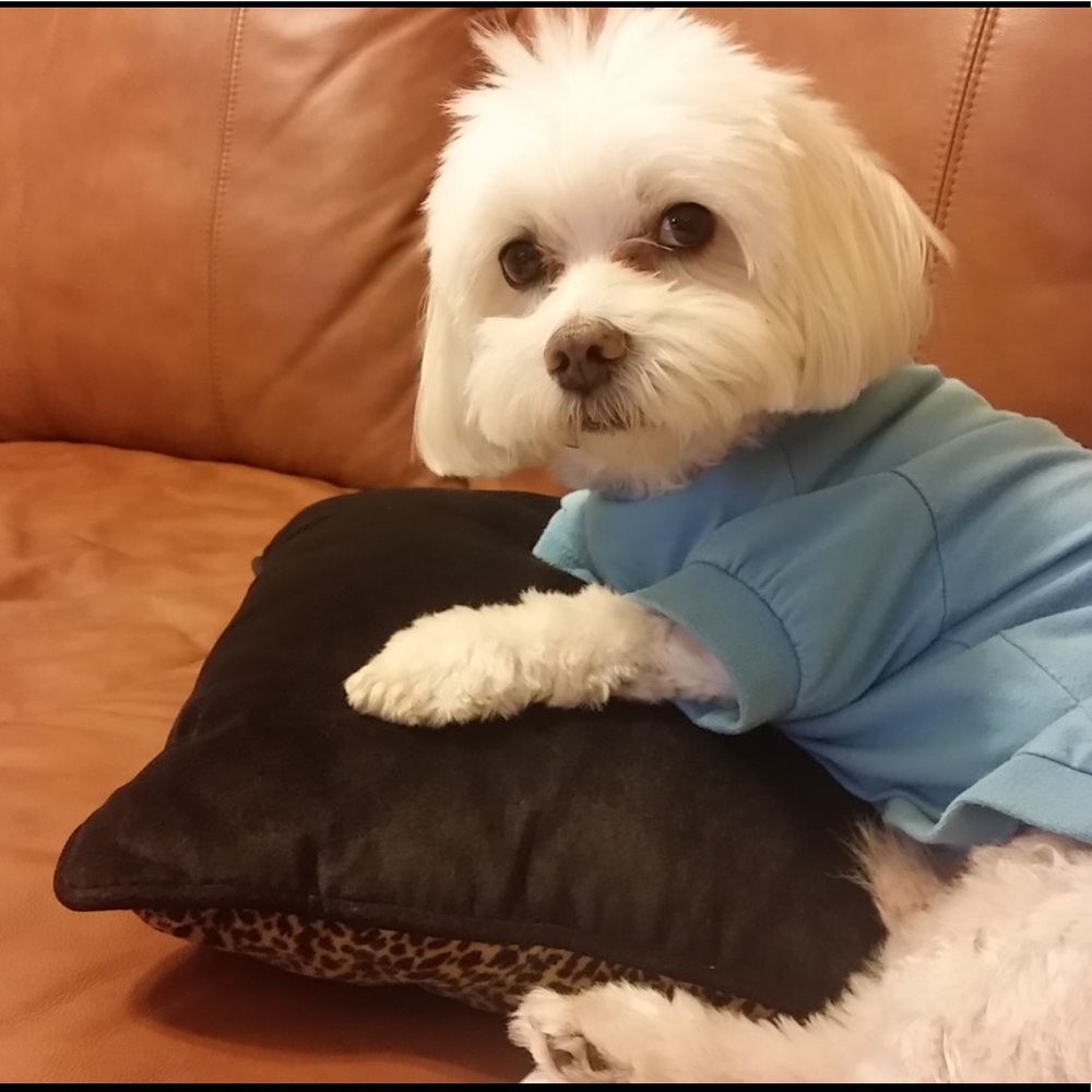 Meet your Posher, Pura